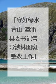 守好绿水青山 漳浦县委书记督导涉林图斑整改工作