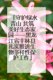 守护绿水青山 共筑美好生态家园——黑龙江省丰林县扎实推进生物多样性保护工作