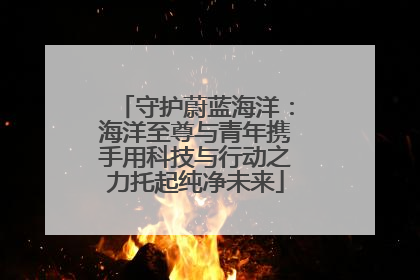 守护蔚蓝海洋：海洋至尊与青年携手用科技与行动之力托起纯净未来