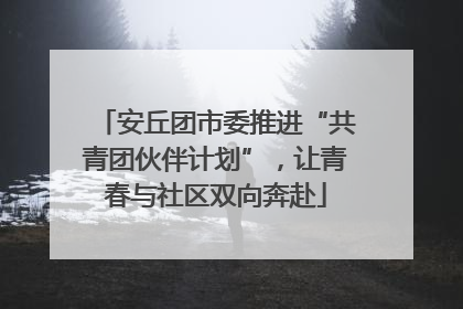 安丘团市委推进“共青团伙伴计划”，让青春与社区双向奔赴