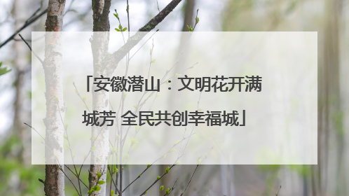 安徽潜山：文明花开满城芳 全民共创幸福城