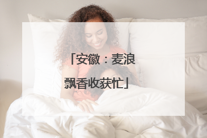 安徽：麦浪飘香收获忙