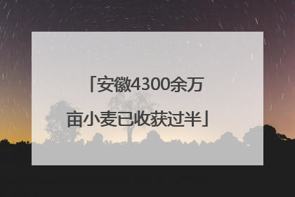 安徽4300余万亩小麦已收获过半