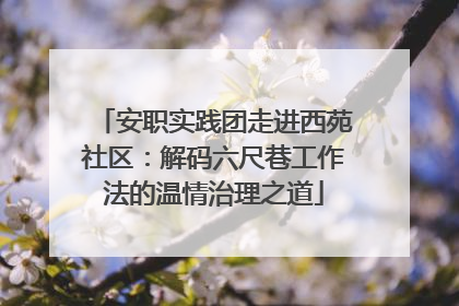 安职实践团走进西苑社区：解码六尺巷工作法的温情治理之道