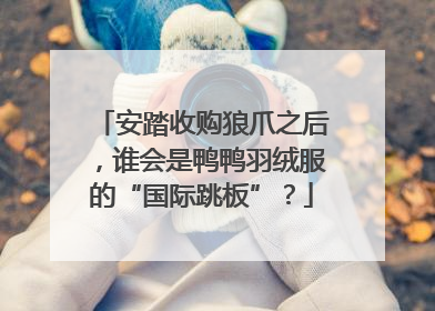 安踏收购狼爪之后，谁会是鸭鸭羽绒服的“国际跳板”？