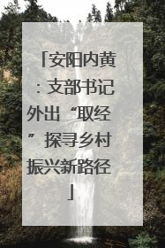 安阳内黄：支部书记外出“取经”探寻乡村振兴新路径