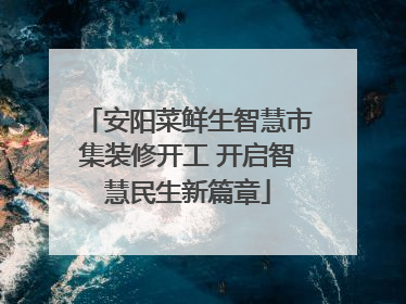 安阳菜鲜生智慧市集装修开工 开启智慧民生新篇章