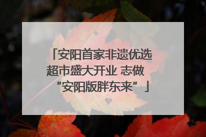 安阳首家非遗优选超市盛大开业 志做“安阳版胖东来”