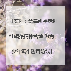 安阳：禁毒研学走进红旗渠精神营地 为青少年筑牢防毒防线