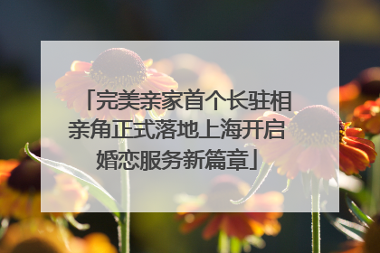 完美亲家首个长驻相亲角正式落地上海开启婚恋服务新篇章