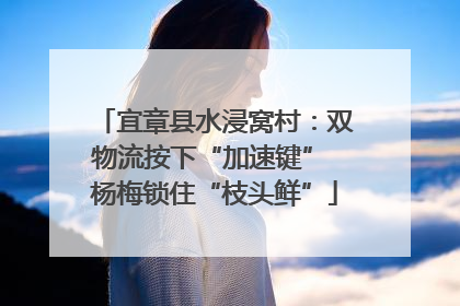 宜章县水浸窝村：双物流按下“加速键” 杨梅锁住“枝头鲜”