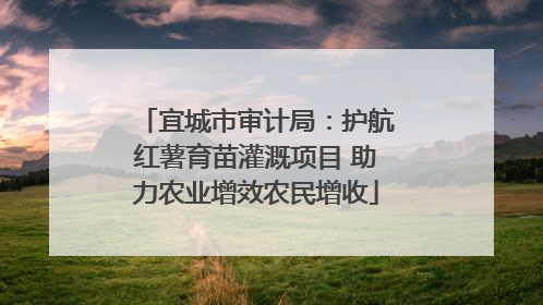 宜城市审计局：护航红薯育苗灌溉项目 助力农业增效农民增收