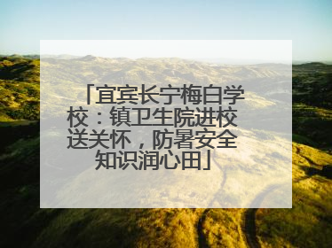 宜宾长宁梅白学校：镇卫生院进校送关怀，防暑安全知识润心田