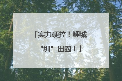 实力硬控！鲤城“圳”出圈！