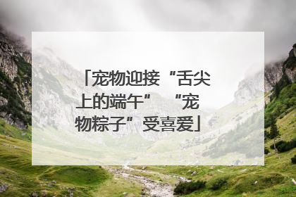 宠物迎接“舌尖上的端午” “宠物粽子”受喜爱