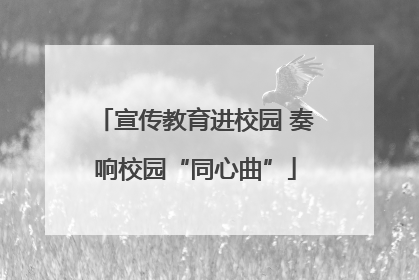 宣传教育进校园 奏响校园“同心曲”
