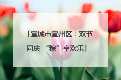 宣城市宣州区：双节同庆 “粽”享欢乐