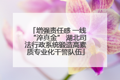 增强责任感 一线“淬真金” 湖北司法行政系统锻造高素质专业化干警队伍