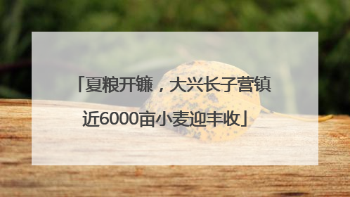 夏粮开镰，大兴长子营镇近6000亩小麦迎丰收