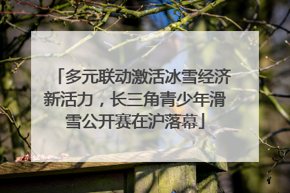 多元联动激活冰雪经济新活力，长三角青少年滑雪公开赛在沪落幕