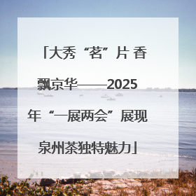 大秀“茗”片 香飘京华——2025年“一展两会”展现泉州茶独特魅力