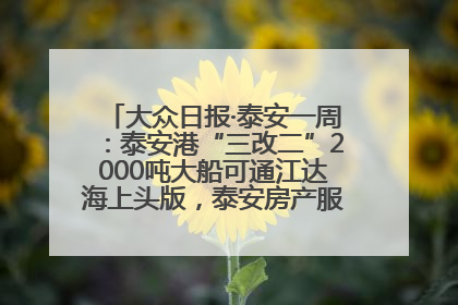 大众日报·泰安一周：泰安港“三改二”2000吨大船可通江达海上头版，泰安房产服务改革经验全省推广
