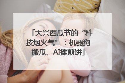 大兴西瓜节的“科技烟火气”：机器狗搬瓜、AI摊煎饼