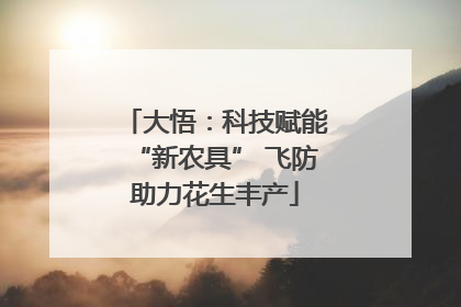 大悟：科技赋能“新农具” 飞防助力花生丰产