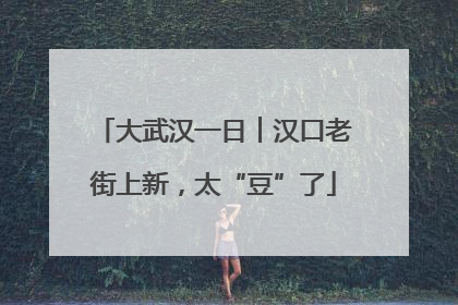 大武汉一日︱汉口老街上新，太“豆”了