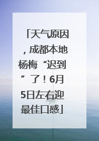 天气原因，成都本地杨梅“迟到”了！6月5日左右迎最佳口感