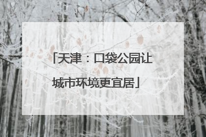 天津：口袋公园让城市环境更宜居