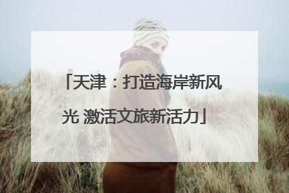 天津：打造海岸新风光 激活文旅新活力