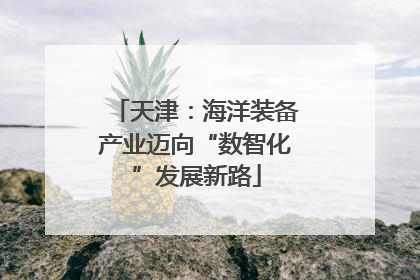 天津：海洋装备产业迈向“数智化”发展新路