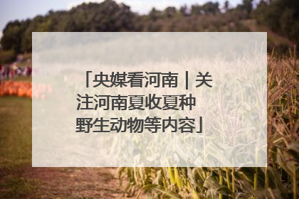 央媒看河南｜关注河南夏收夏种 野生动物等内容