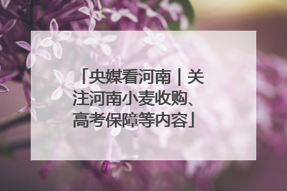 央媒看河南｜关注河南小麦收购、高考保障等内容