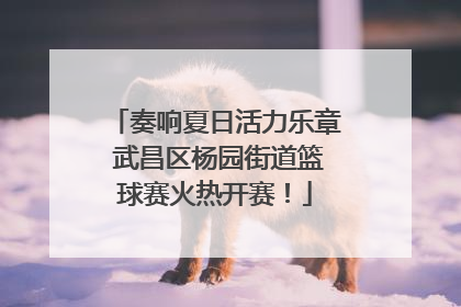 奏响夏日活力乐章 武昌区杨园街道篮球赛火热开赛！
