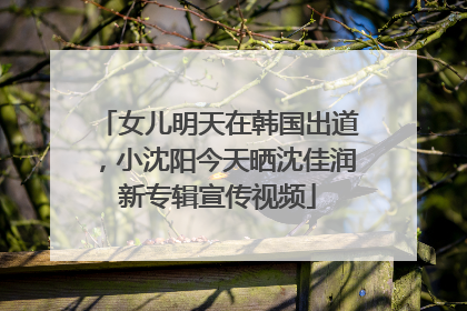 女儿明天在韩国出道，小沈阳今天晒沈佳润新专辑宣传视频