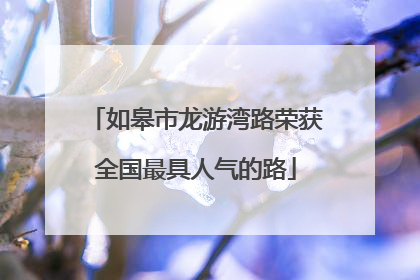 如皋市龙游湾路荣获全国最具人气的路