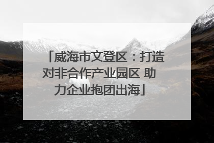 威海市文登区：打造对非合作产业园区 助力企业抱团出海