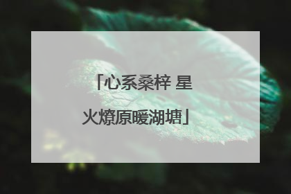 心系桑梓 星火燎原暖湖塘