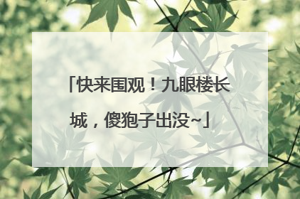 快来围观！九眼楼长城，傻狍子出没~