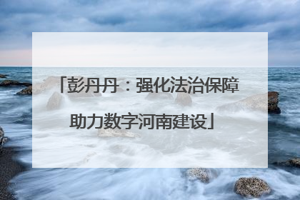 彭丹丹：强化法治保障 助力数字河南建设