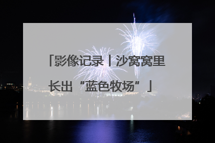 影像记录丨沙窝窝里长出“蓝色牧场”