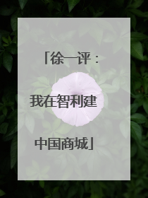 徐一评：我在智利建中国商城