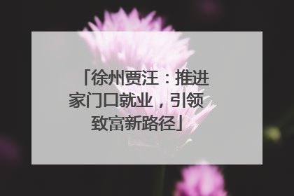 徐州贾汪：推进家门口就业，引领致富新路径