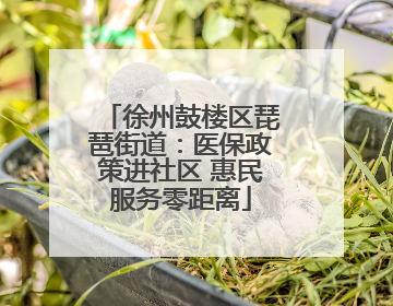 徐州鼓楼区琵琶街道：医保政策进社区 惠民服务零距离
