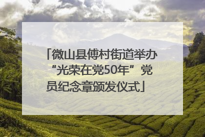 微山县傅村街道举办“光荣在党50年”党员纪念章颁发仪式