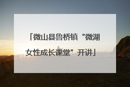 微山县鲁桥镇“微湖女性成长课堂”开讲