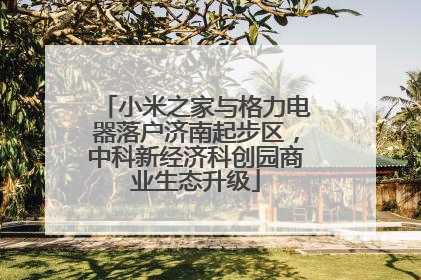 小米之家与格力电器落户济南起步区，中科新经济科创园商业生态升级