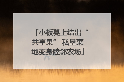 小板凳上结出“共享果” 私垦菜地变身睦邻农场